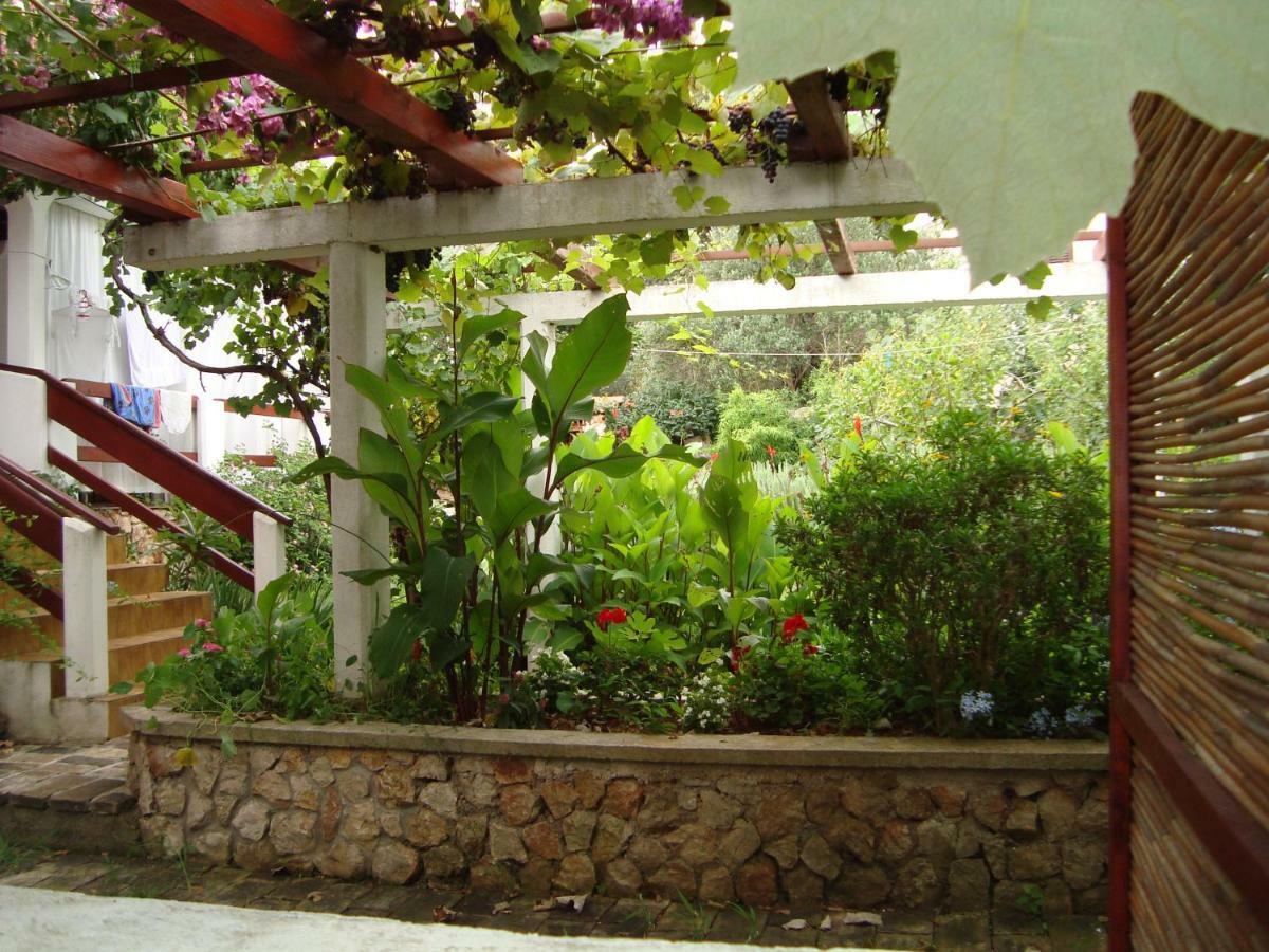 Apartments Lovor Silba Ngoại thất bức ảnh